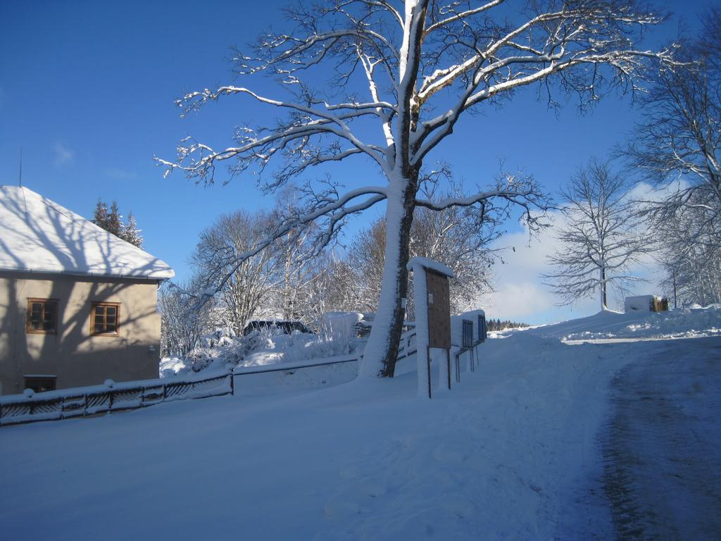Ubytování Elias Černá v Pošumaví Exterior foto